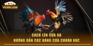 Cách Lên Cựa Gà - Hướng Dẫn Các Băng Cựa Chuẩn Xác