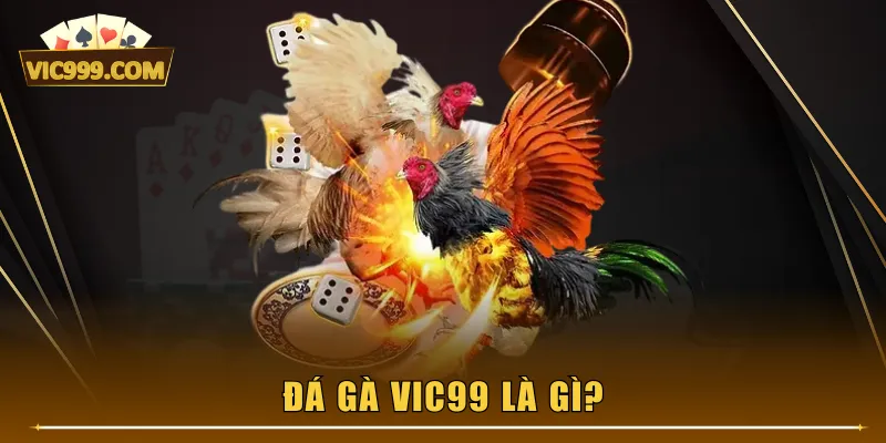 Đá Gà VIC99 là gì?