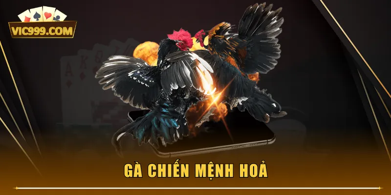 Gà chiến mệnh Hoả