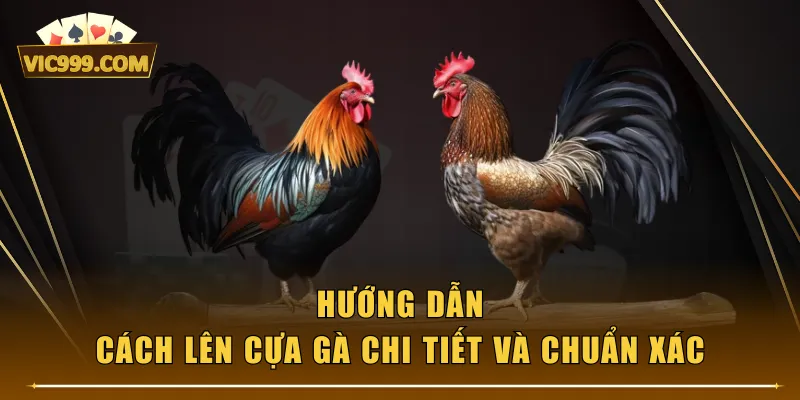 Hướng dẫn cách lên cựa gà chi tiết và chuẩn xác